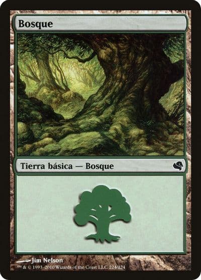 Forest Spanish Bosque 224 Magic Encyclopedia 2011 (Salvat) Magic card