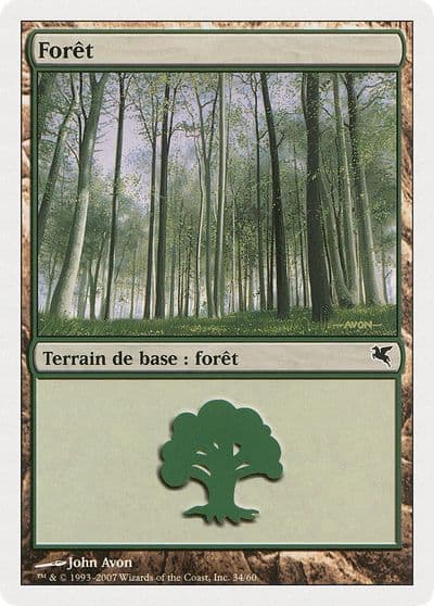 Forest French Foret B34 Magic Encyclopedia 2005 (Salvat/Hachette) Magic card