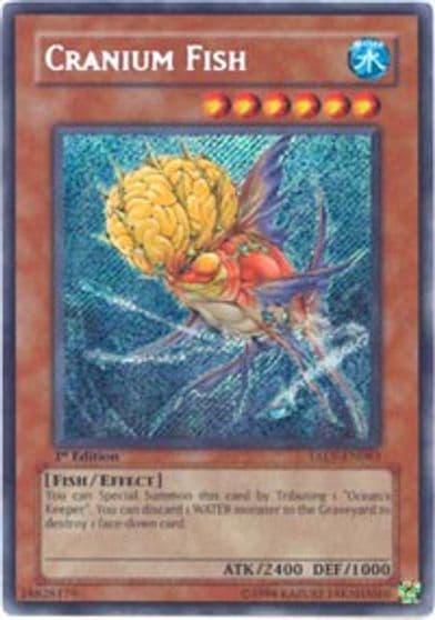 Cranium Fish Tactical Evolution Yu-Gi-Oh! card