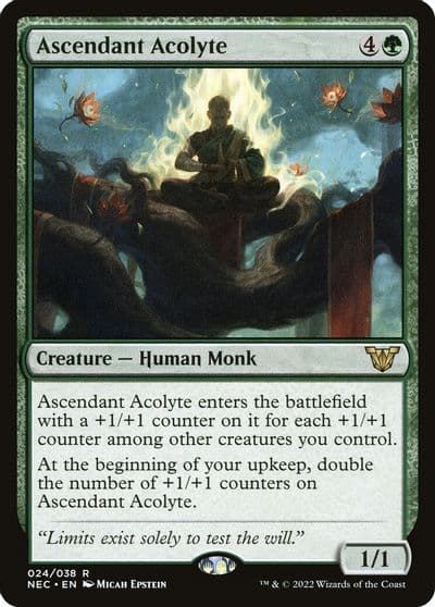 Ascendant Acolyte Commander: Kamigawa: Neon Dynasty Magic card