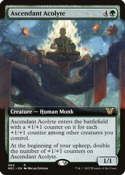 Ascendant Acolyte Extended Art Commander: Kamigawa: Neon Dynasty Magic card