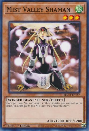 Mist Valley Shaman Hidden Arsenal: Chapter 1 Yu-Gi-Oh! card