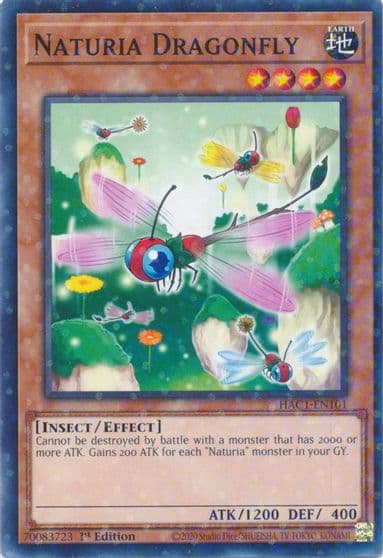 Naturia Dragonfly Duel Terminal Hidden Arsenal: Chapter 1 Yu-Gi-Oh! card