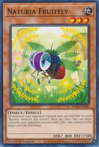Naturia Fruitfly Hidden Arsenal: Chapter 1 Yu-Gi-Oh! card