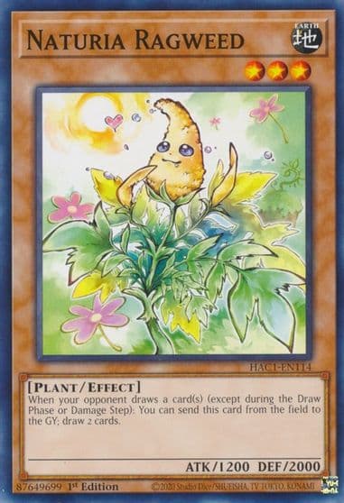 Naturia Ragweed Hidden Arsenal: Chapter 1 Yu-Gi-Oh! card