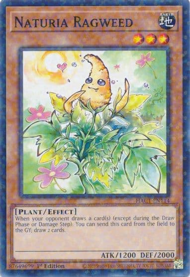 Naturia Ragweed Duel Terminal Hidden Arsenal: Chapter 1 Yu-Gi-Oh! card