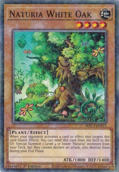 Naturia White Oak Duel Terminal Hidden Arsenal: Chapter 1 Yu-Gi-Oh! card