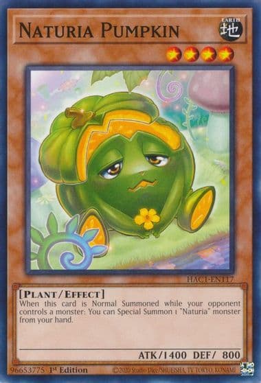 Naturia Pumpkin Hidden Arsenal: Chapter 1 Yu-Gi-Oh! card