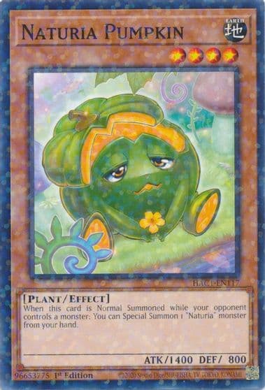 Naturia Pumpkin Duel Terminal Hidden Arsenal: Chapter 1 Yu-Gi-Oh! card