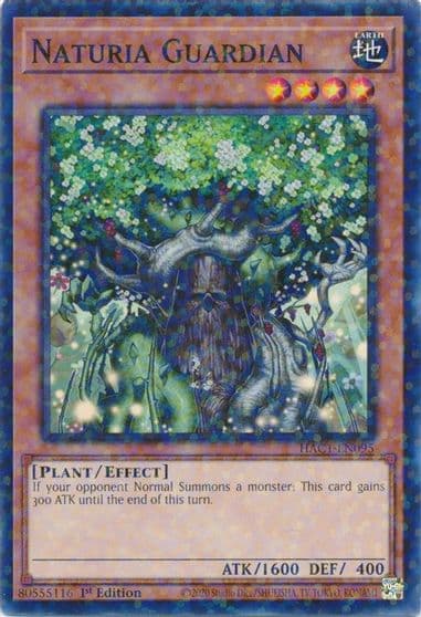 Naturia Guardian Duel Terminal Hidden Arsenal: Chapter 1 Yu-Gi-Oh! card