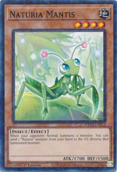 Naturia Mantis Duel Terminal Hidden Arsenal: Chapter 1 Yu-Gi-Oh! card