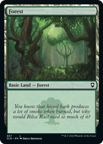 Forest 467 Commander Legends: Battle for Baldur's Gate Magic card