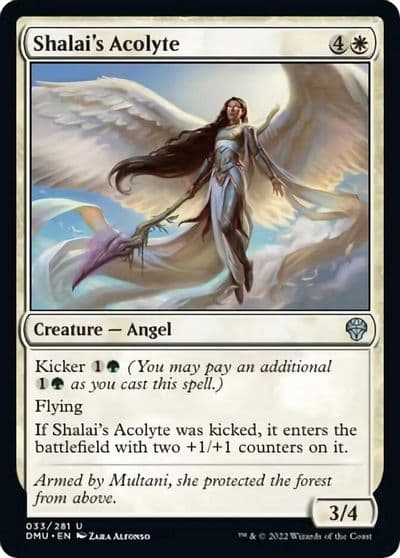 Shalais Acolyte Dominaria United Magic card