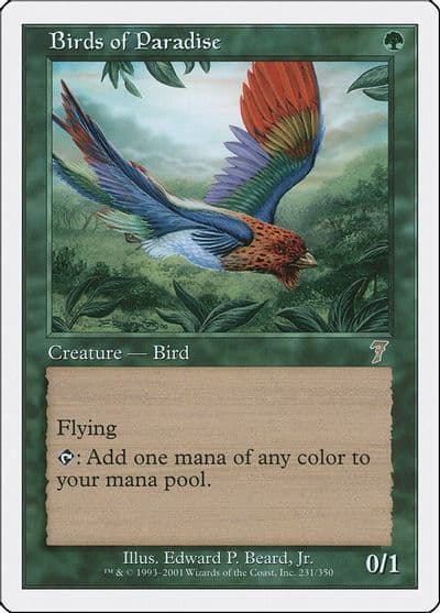 Birds of Paradise 7th Edition Magic card