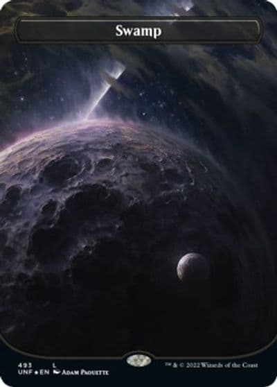 Swamp 493 Borderless Galaxy Foil Unfinity Magic card