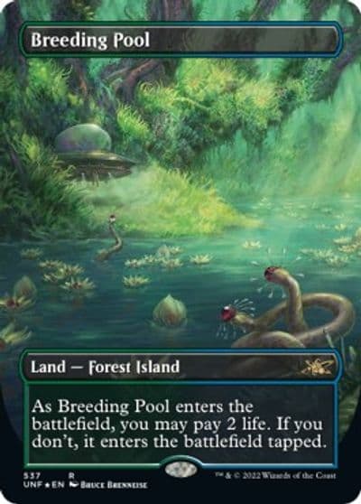 Breeding Pool Borderless Galaxy Foil Unfinity Magic card