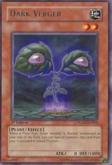 Dark Verger Raging Battle Yu-Gi-Oh! card