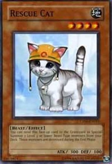 Rescue Cat Champion Pack 5 Yu-Gi-Oh! card