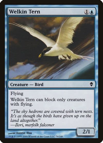 Welkin Tern Zendikar Magic card