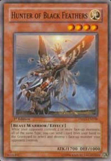 Hunter of Black Feathers The Shining Darkness Yu-Gi-Oh! card