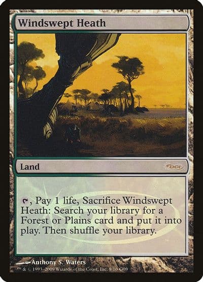 Windswept Heath Judge Promos Magic card