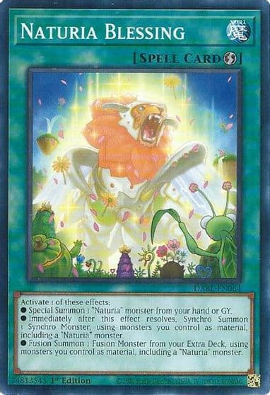 Naturia Blessing Darkwing Blast Yu-Gi-Oh! card