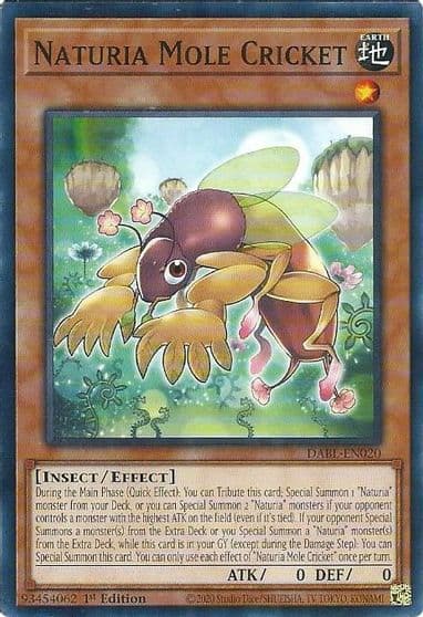 Naturia Mole Cricket Darkwing Blast Yu-Gi-Oh! card