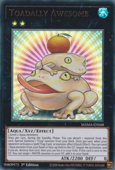 Toadally Awesome Magnificent Mavens Yu-Gi-Oh! card