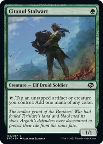 Citanul Stalwart The Brothers' War Magic card