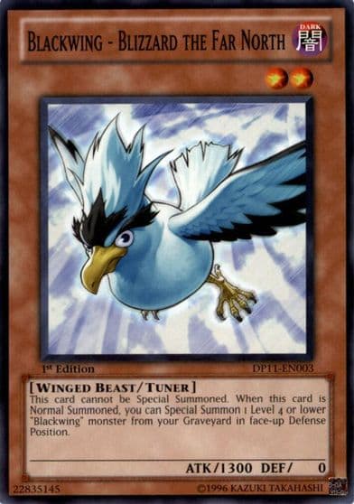 Blackwing Blizzard the Far North Duelist Pack 11: Crow Yu-Gi-Oh! card