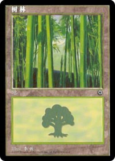Forest CS Alternate Art 213s Portal Magic card