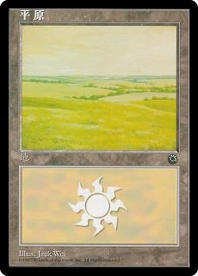 Plains CS Alternate Art 196s Portal Magic card
