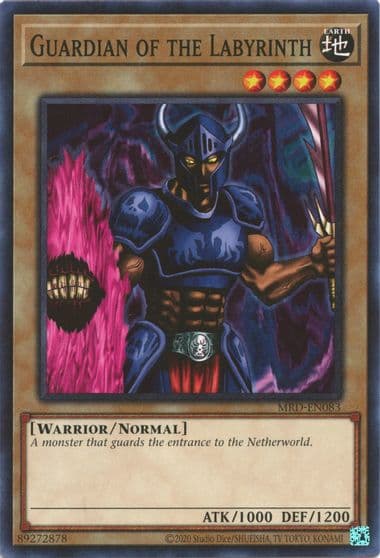 Guardian of the Labyrinth Metal Raiders (25th Anniversary Edition) Yu-Gi-Oh! card
