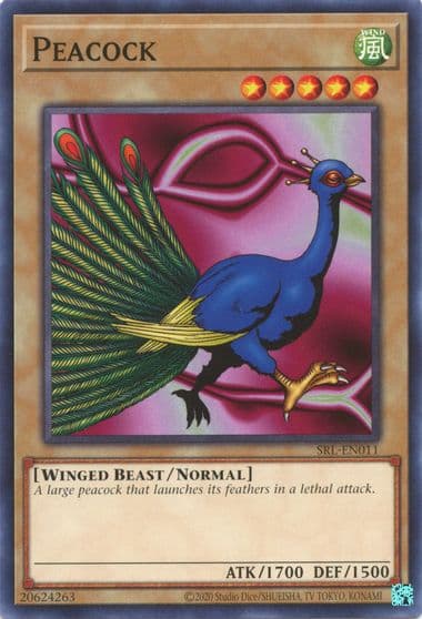 Peacock Spell Ruler (25th Anniversary Edition) Yu-Gi-Oh! card