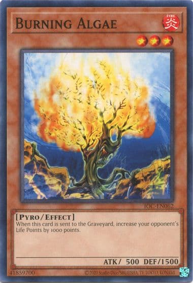 Burning Algae Invasion of Chaos (25th Anniversary Edition) Yu-Gi-Oh! card