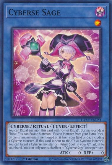 Cyberse Sage Cyberstorm Access Yu-Gi-Oh! card