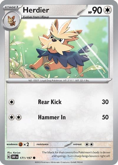 Herdier SV03: Obsidian Flames Pokemon card