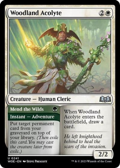 Woodland Acolyte Wilds of Eldraine Magic card