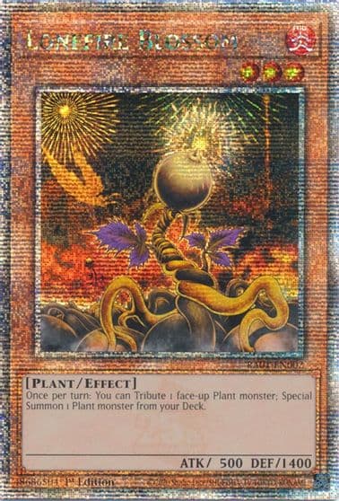 Lonefire Blossom Quarter Century Secret Rare 25th Anniversary Rarity Collection Yu-Gi-Oh! card