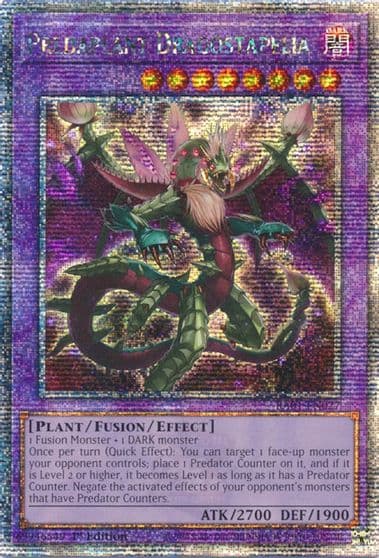 Predaplant Dragostapelia Quarter Century Secret Rare 25th Anniversary Rarity Collection Yu-Gi-Oh! card