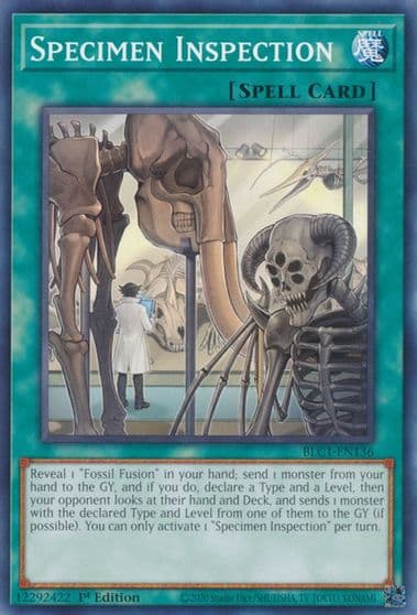 Specimen Inspection Battles of Legend: Chapter 1 Yu-Gi-Oh! card