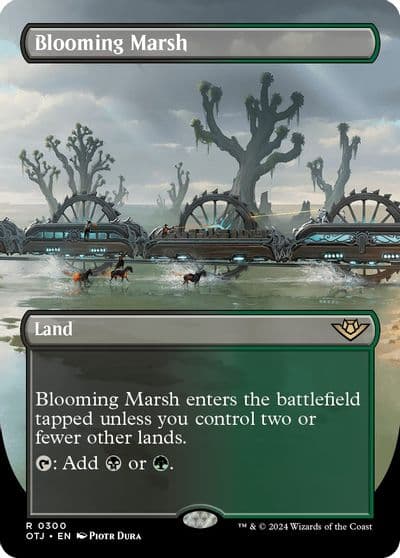 Blooming Marsh Borderless Outlaws of Thunder Junction Magic card
