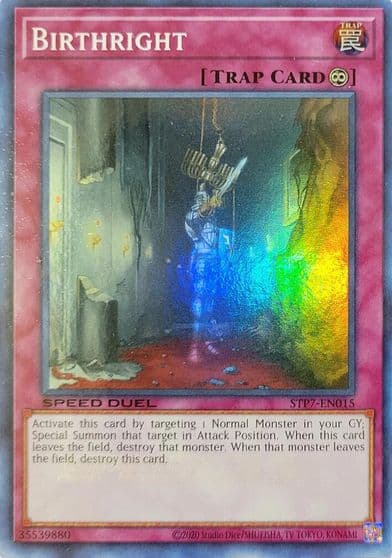 Birthright Speed Duel: Tournament Pack 7 Yu-Gi-Oh! card