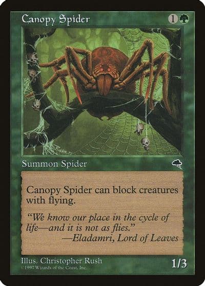 Canopy Spider Tempest Magic card
