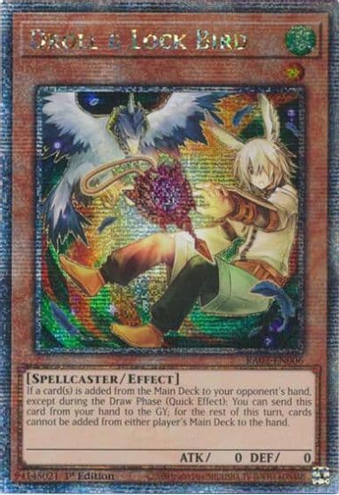 Droll and Lock Bird Alternate Art Quarter Century Secret Rare 25th Anniversary Rarity Collection II Yu-Gi-Oh! card