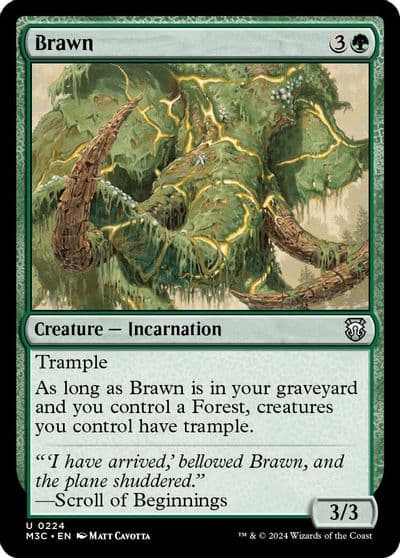 Brawn Ripple Foil Commander: Modern Horizons 3 Magic card