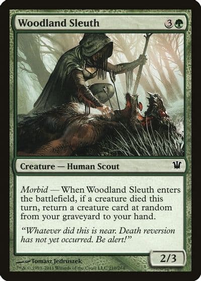Woodland Sleuth Innistrad Magic card