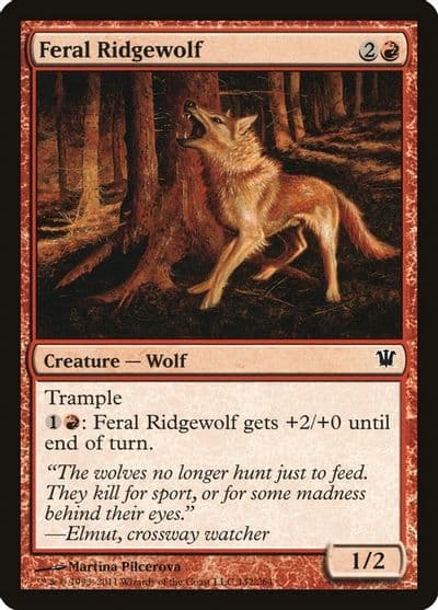 Feral Ridgewolf Innistrad Magic card