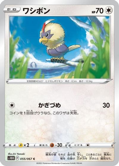 Rufflet S10D: Time Gazer Pokemon card