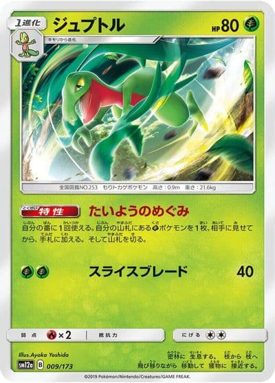 Grovyle (Mirror Holofoil) SM12a: TAG TEAM GX: Tag All Stars Pokemon card